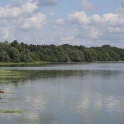 Rives de la Maine