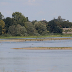 Pays de la Loire