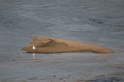 Pont Dumnacus