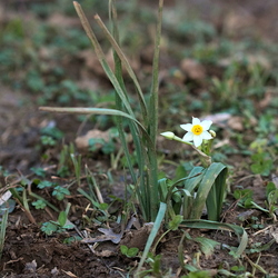 La Lieurette
