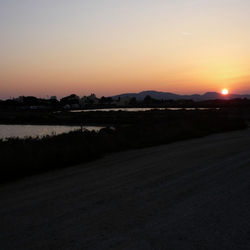 Vieux salins