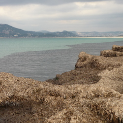 Route du Sel