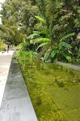 Jardin Alexandre 1er (Toulon 83)