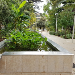 Jardin Alexandre 1er (Toulon 83)