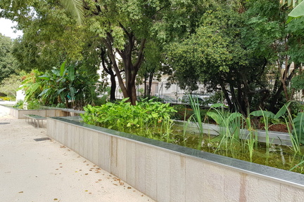 Jardin Alexandre 1er (Toulon 83)