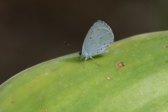 20260530 8341 DxO